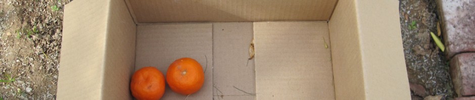 Public Fruit