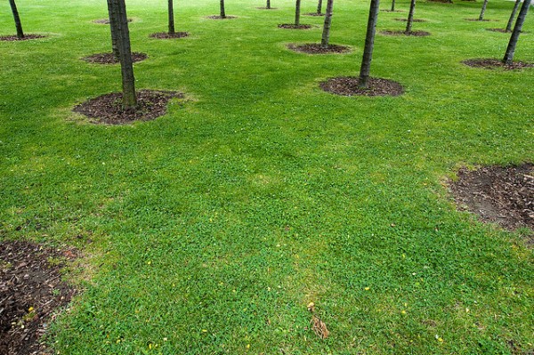 urbanforest