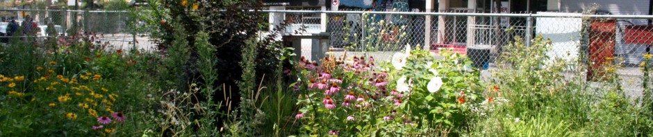 Montreal Garden